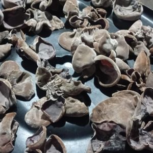 IMG-20250723-WA0007 Jamur Kuping Kering Sarwo Aji