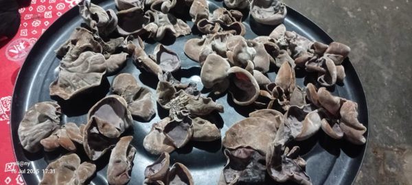 IMG-20250723-WA0007 Jamur Kuping Kering Sarwo Aji